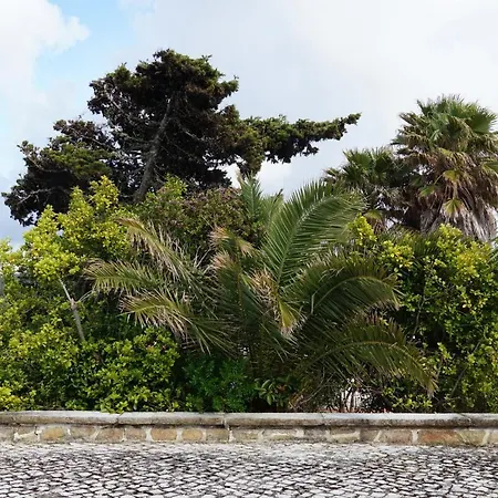 בית נופש Casa Alto Da Riba סינטרה